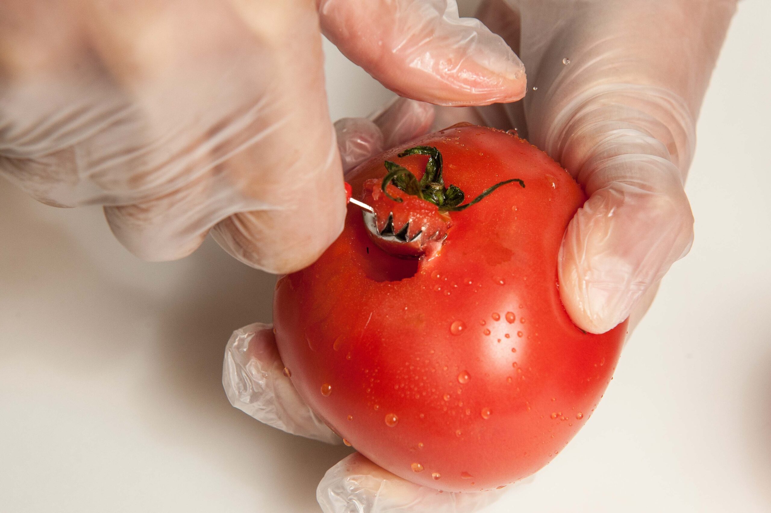 AP vs. EP school nutrition training