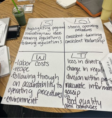 director mentorship swot analysis
