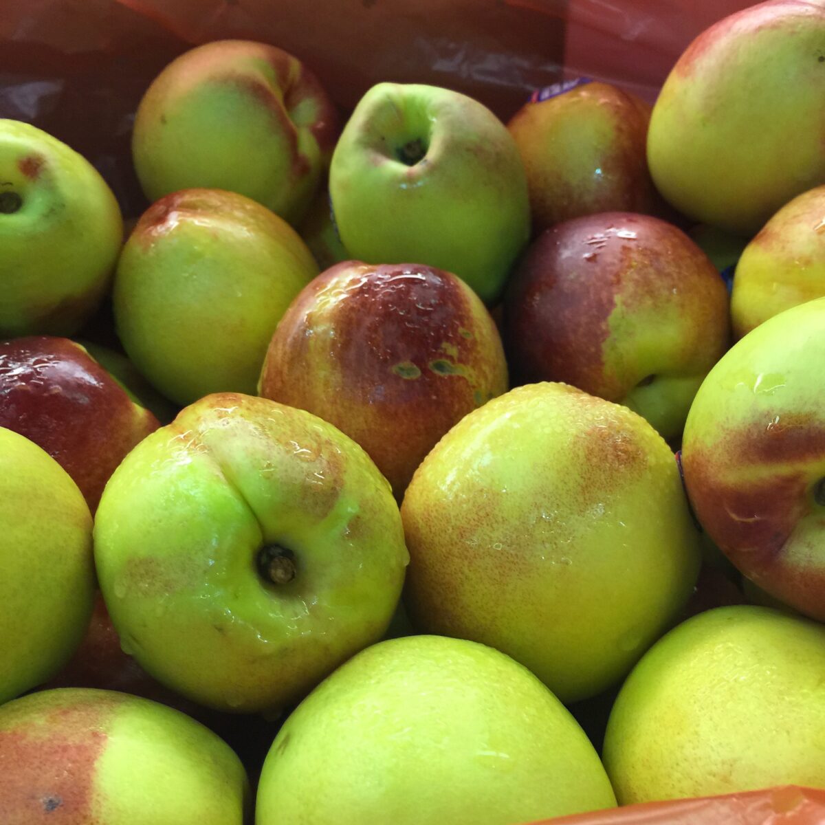 farm to school apples